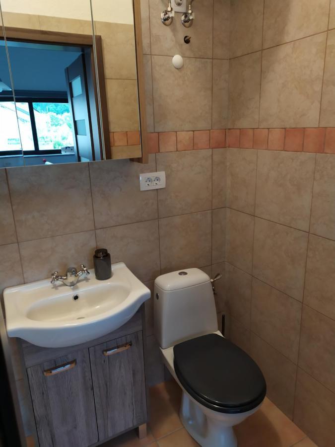 Gostilna Ulcar Hotel Ig Bagian luar foto